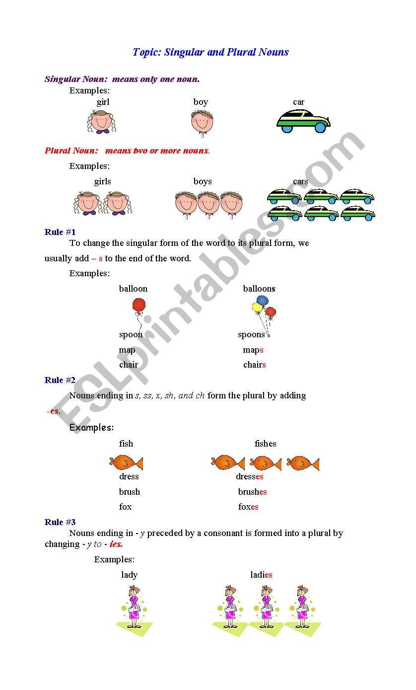Singular and Plural Nouns worksheet