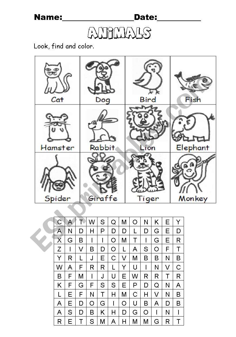 Animals worksheet