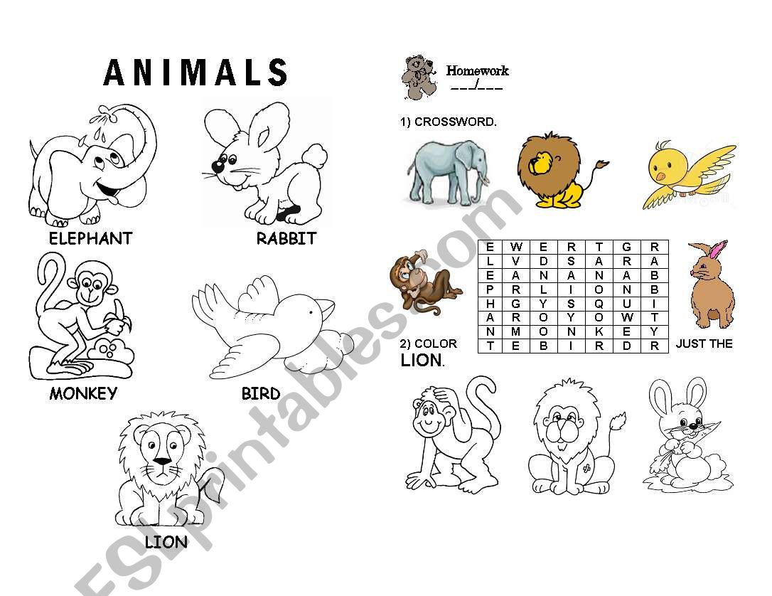 ANIMALS worksheet