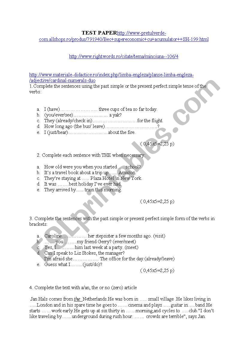TEST PAPER worksheet