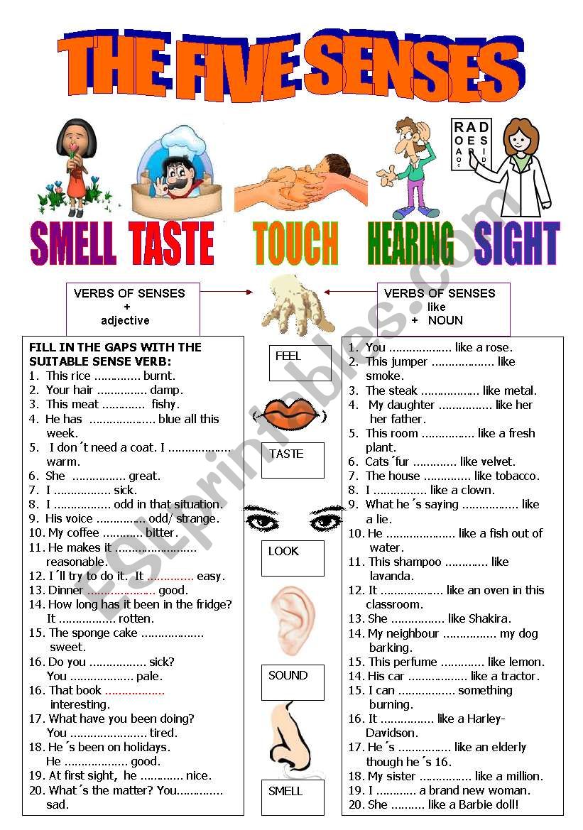 Verbs of the SENSES  + KEY worksheet