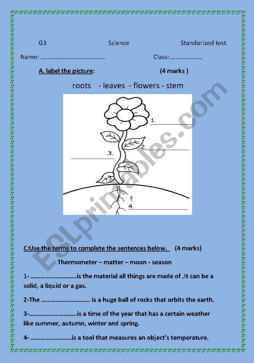 Science test-elementary stage worksheet