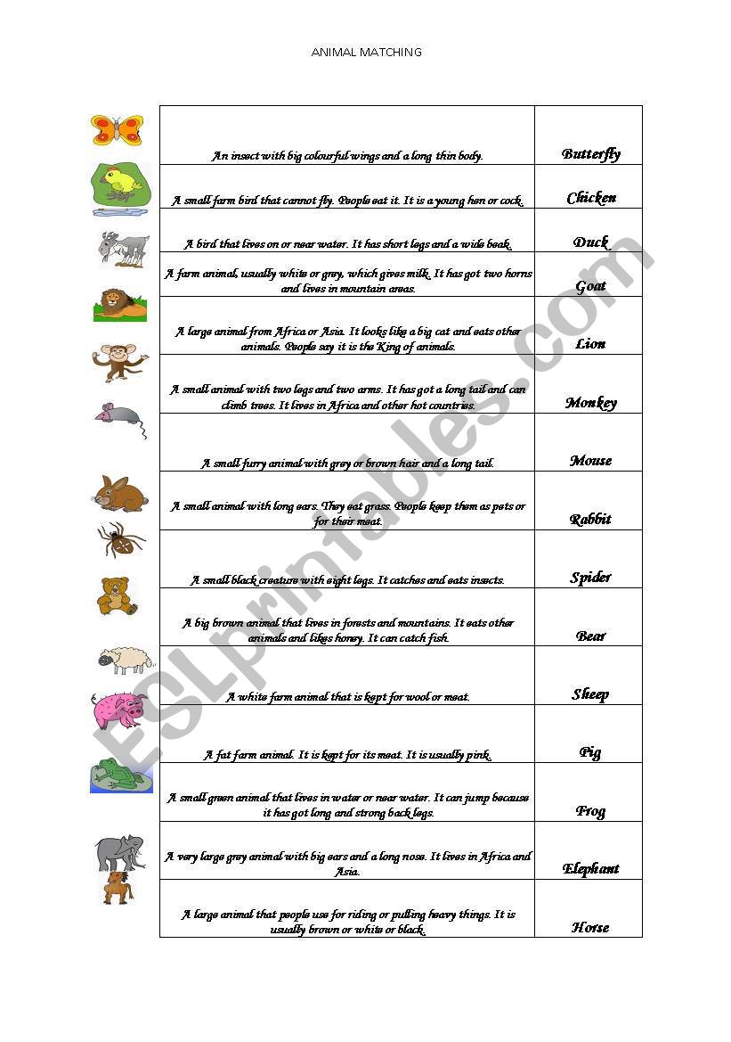 Animal Matching worksheet