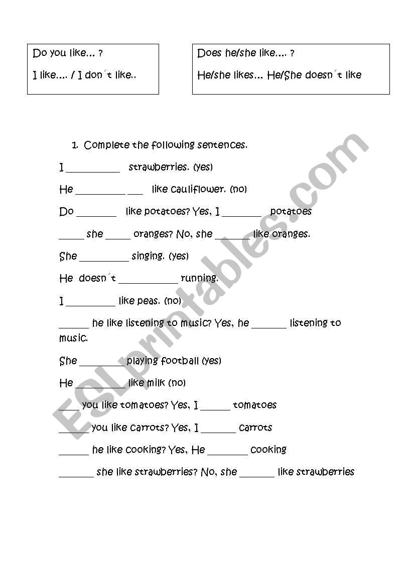 verb like I/he/she worksheet