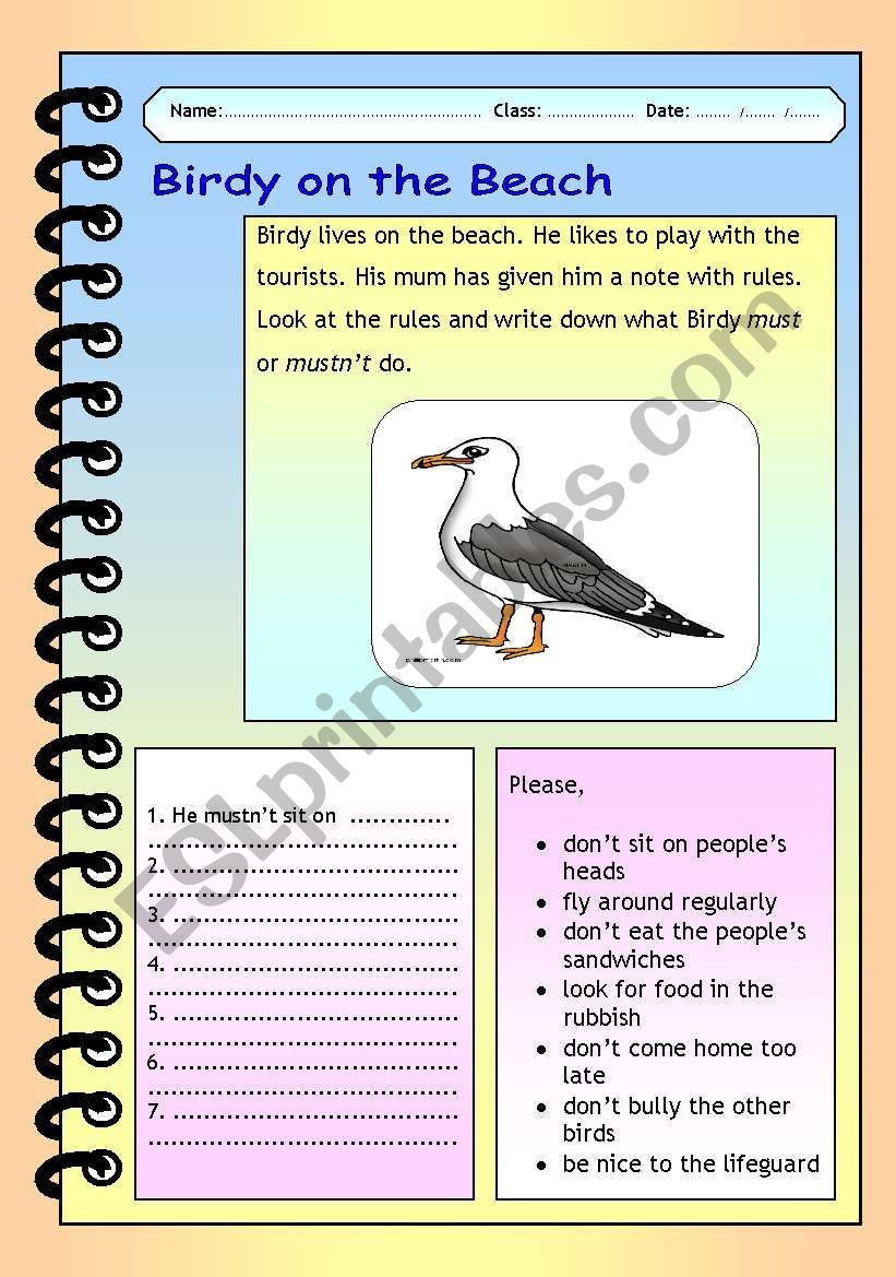 Birdy on the beach worksheet