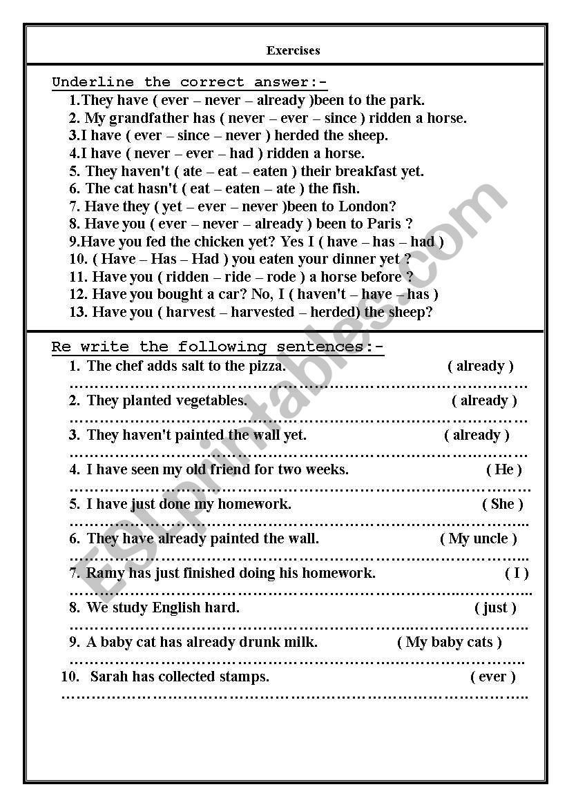 present perfect worksheet