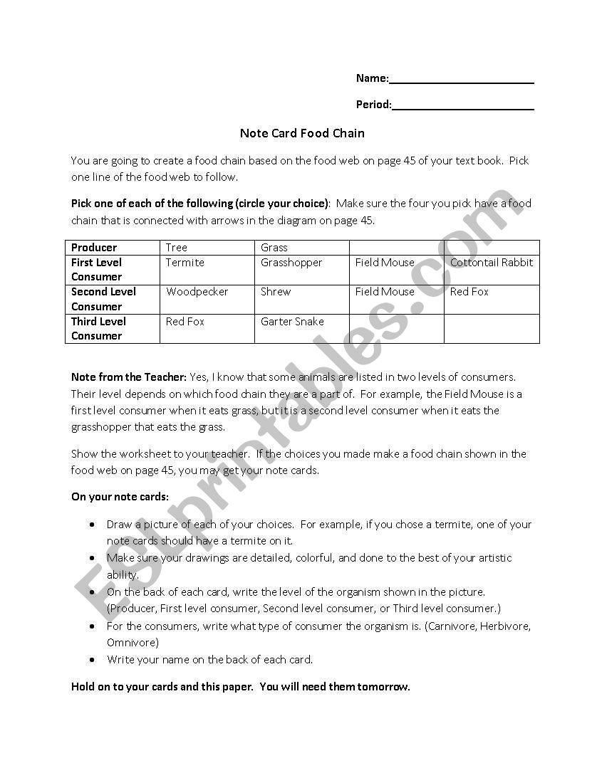 Notecard Food Chain Activity worksheet