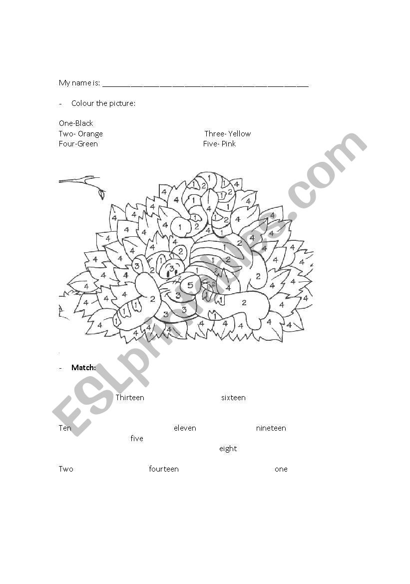 Colours and numbers worksheet