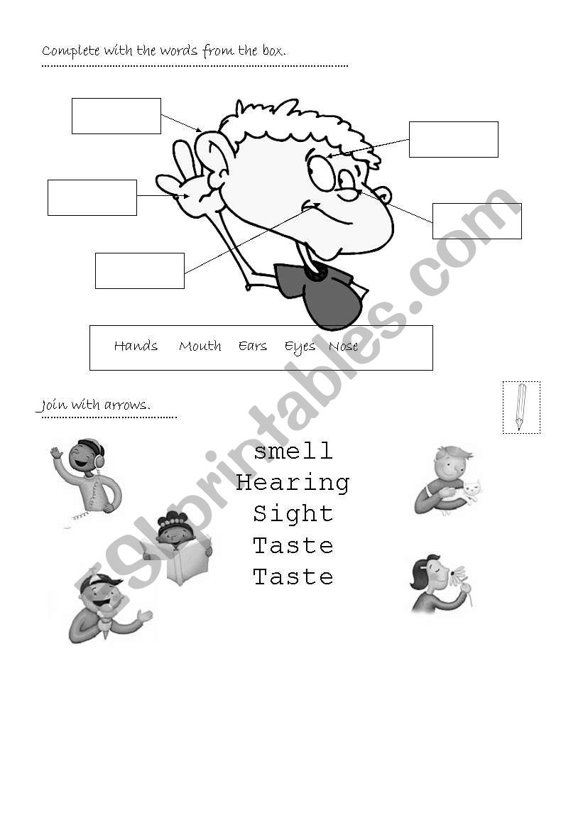 Senses worksheet