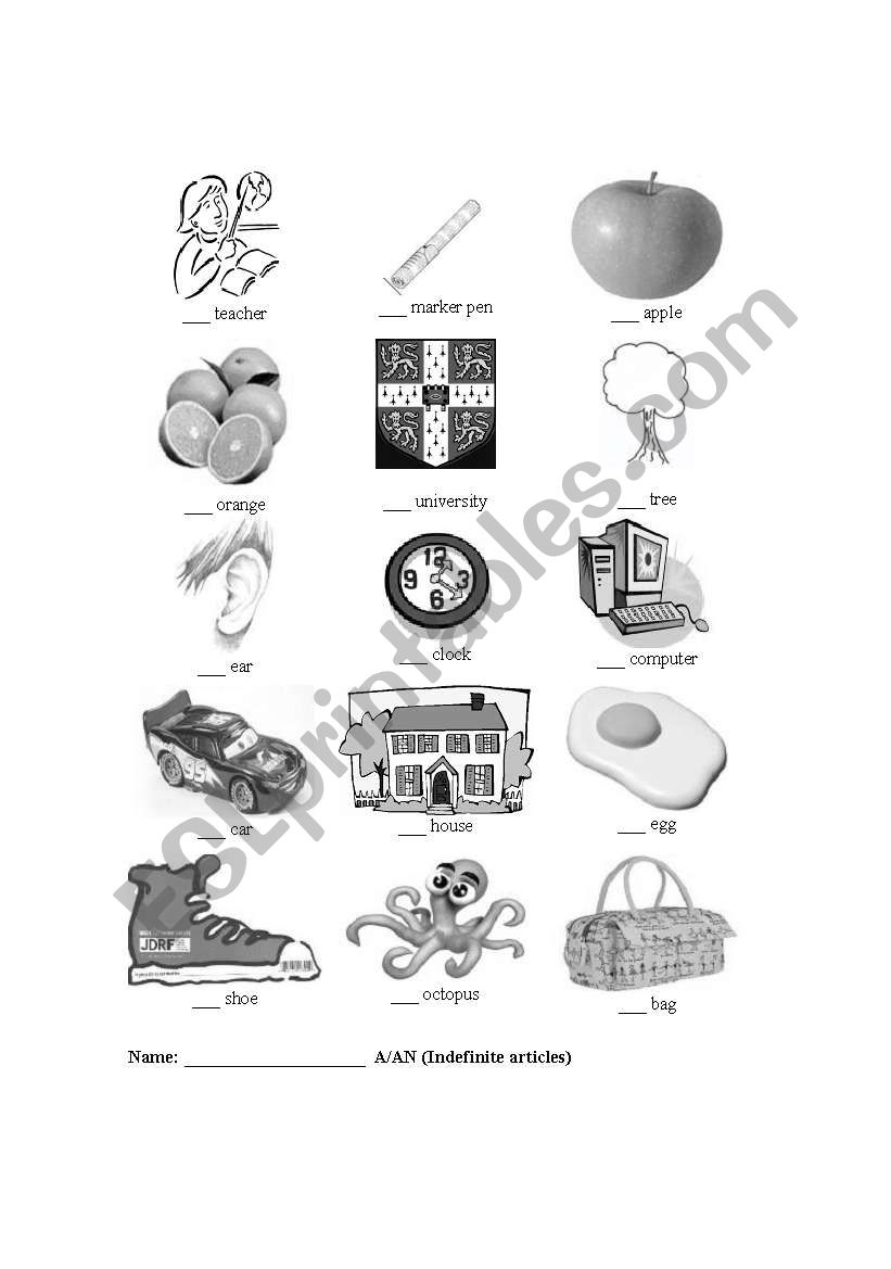 A or An Indefinite Articles worksheet