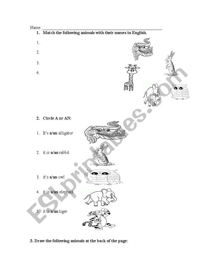 Animals worksheet