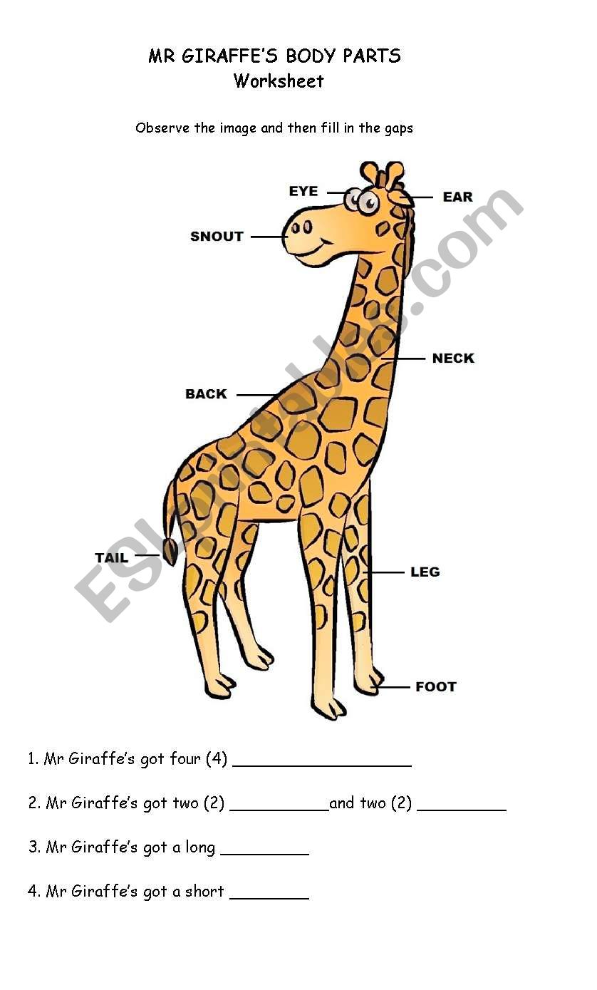 Animal body parts worksheet