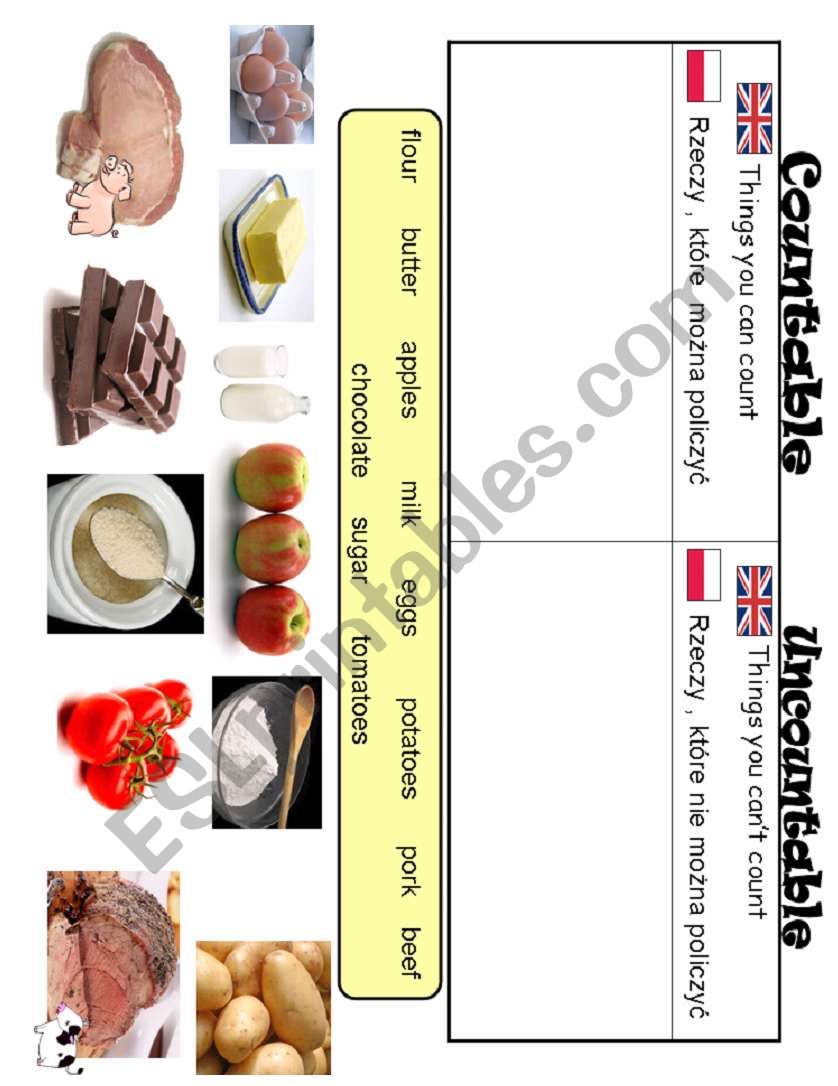 Food Sort - Uncountable and countable nouns