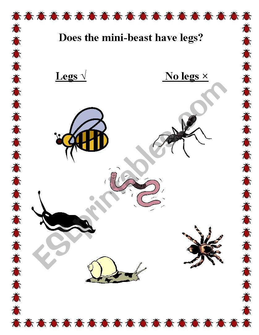 mini-beasts worksheet