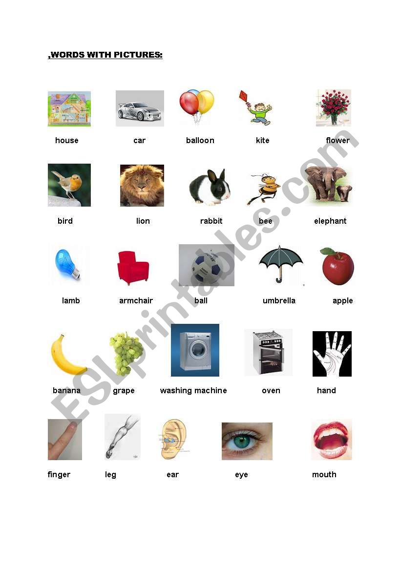words with pictures worksheet