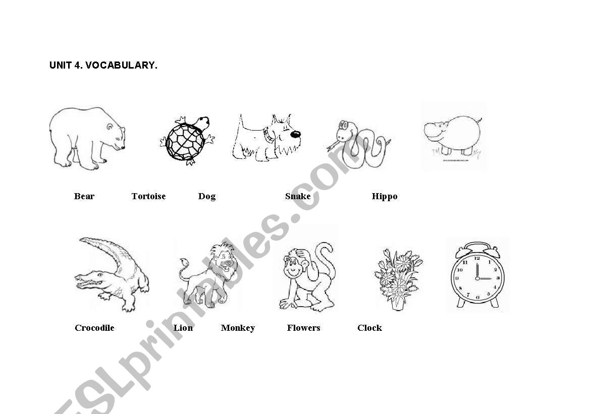 Animals worksheet