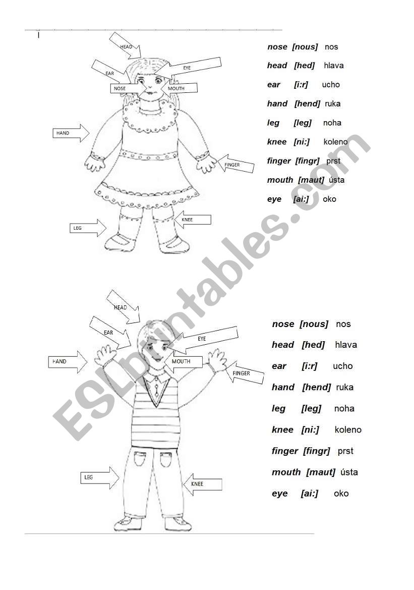  body worksheet