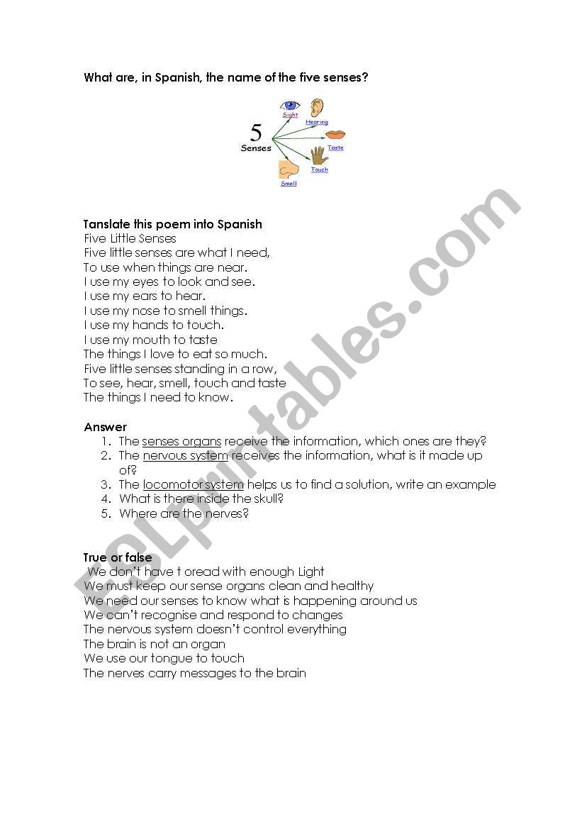 the five senses worksheet