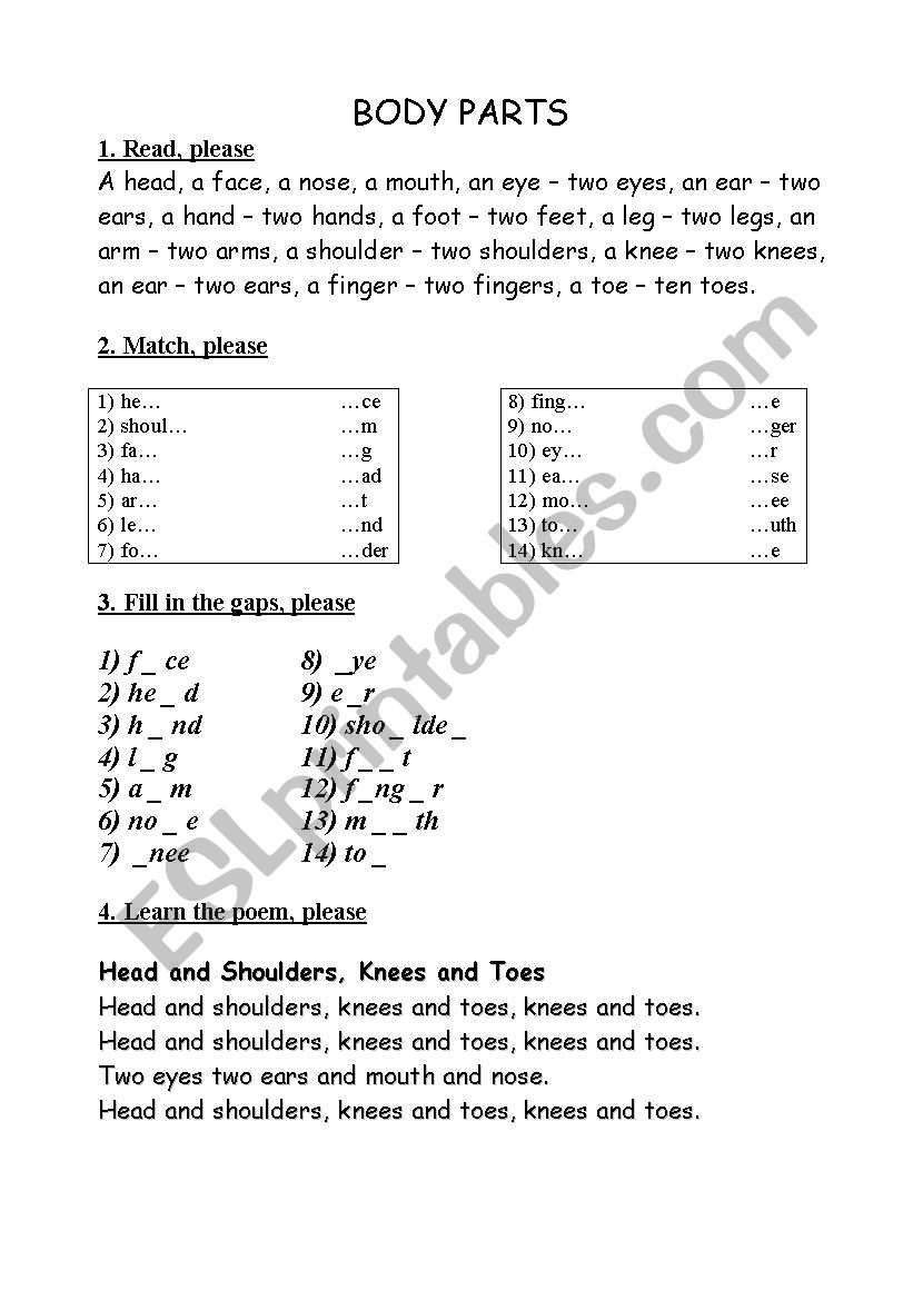 Body Parts worksheet