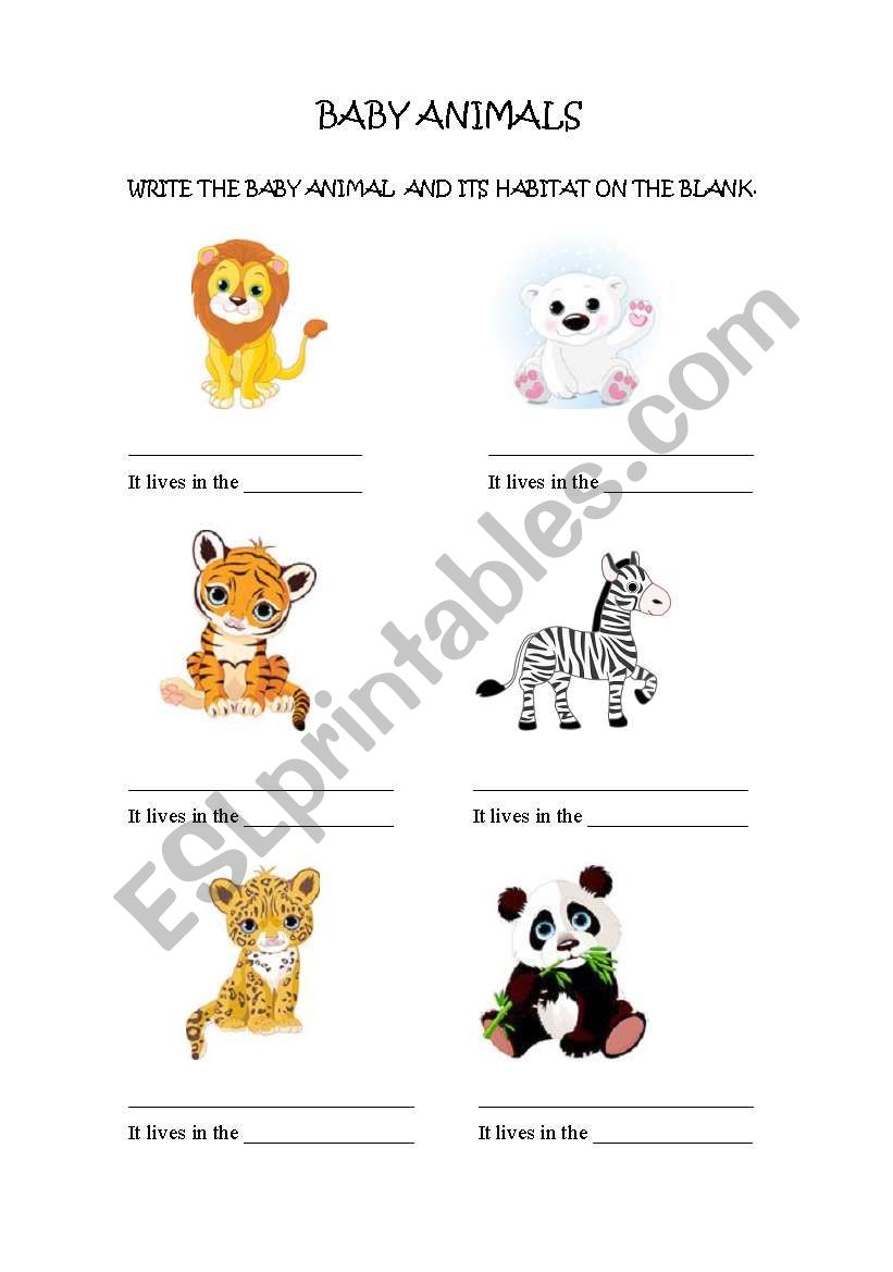 English worksheets: Baby Animals