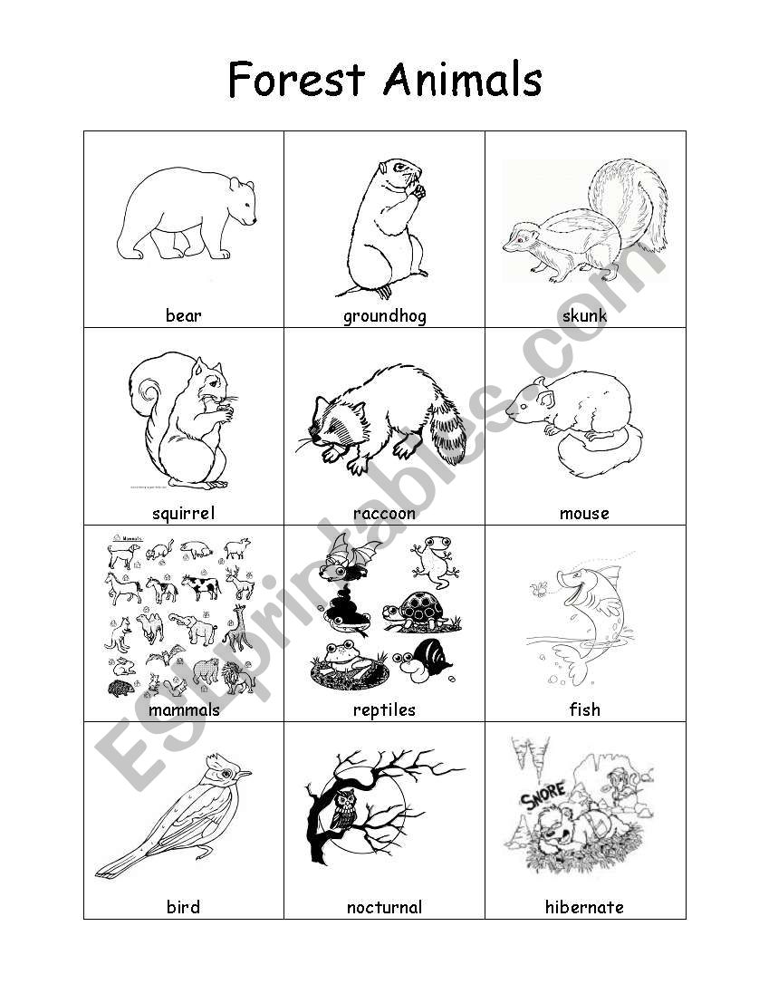 Forest Animal Vocabulary Sheet - ESL worksheet by nrippen