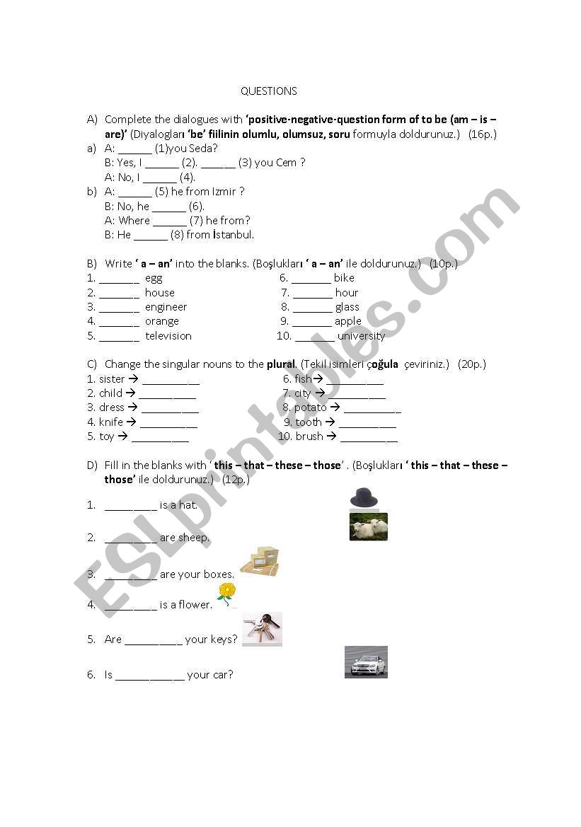 EXAM FOR BEGINNERS worksheet