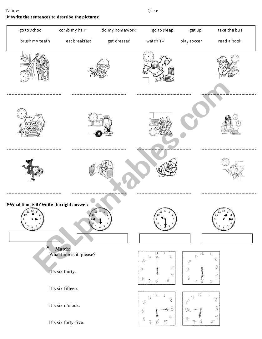 Daily Routine worksheet