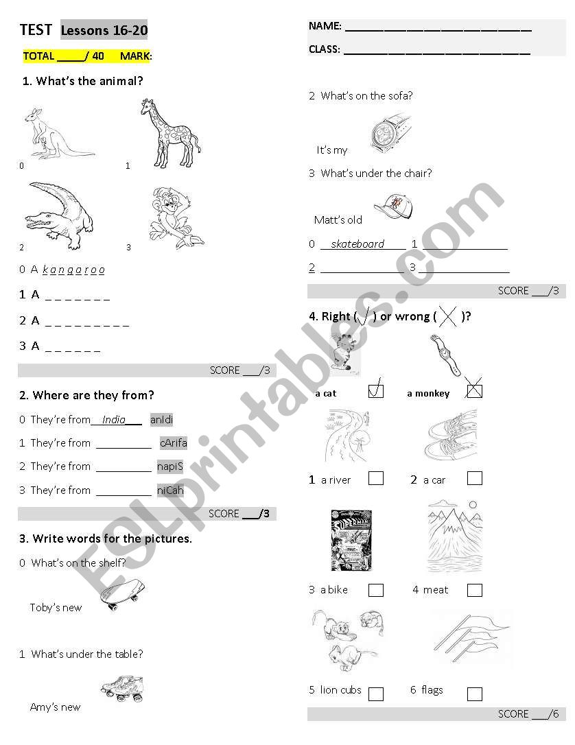 test worksheet