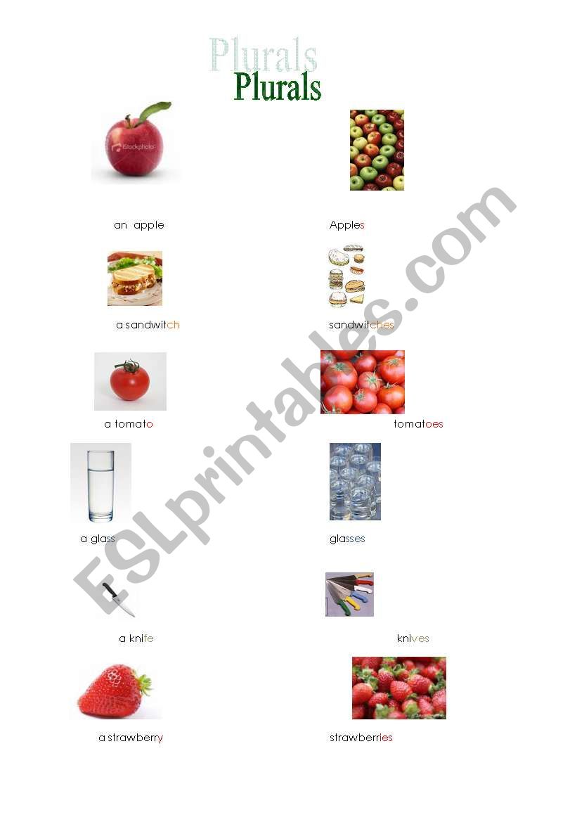 plurals and irregular plurals worksheet