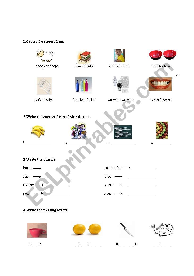 plurals and irregular plurals worksheet