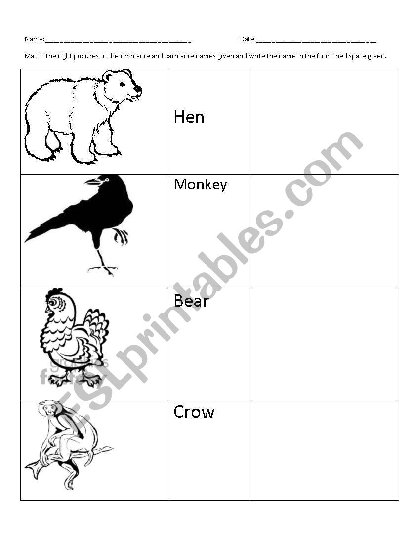 Omnivores - match the following