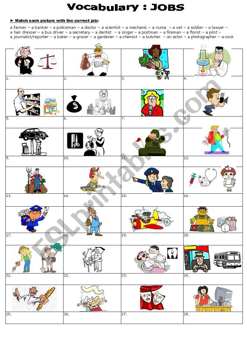 Vocabulary worksheet