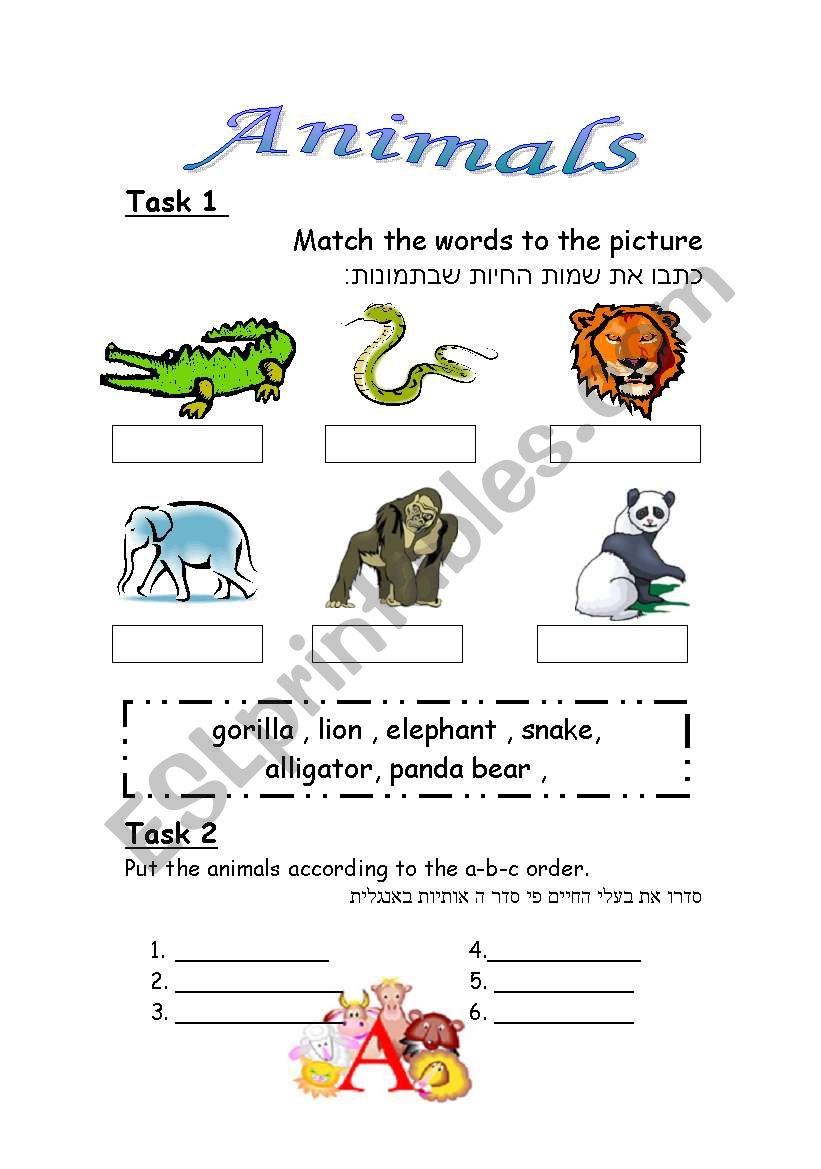 animals  worksheet