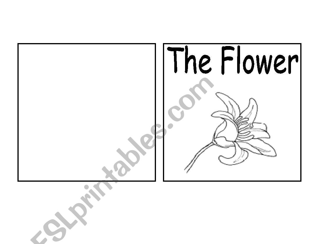 Parts of a Flower Book  worksheet