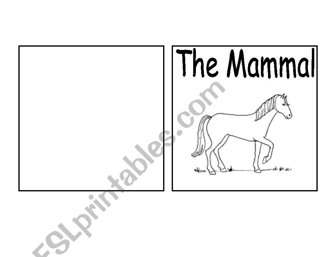 Parts of a mammal book (horse)