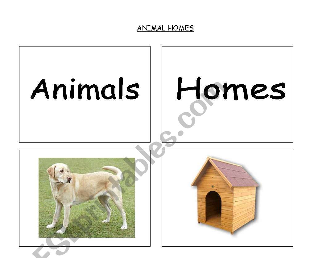 Animal Homes (part 1 of 4) worksheet