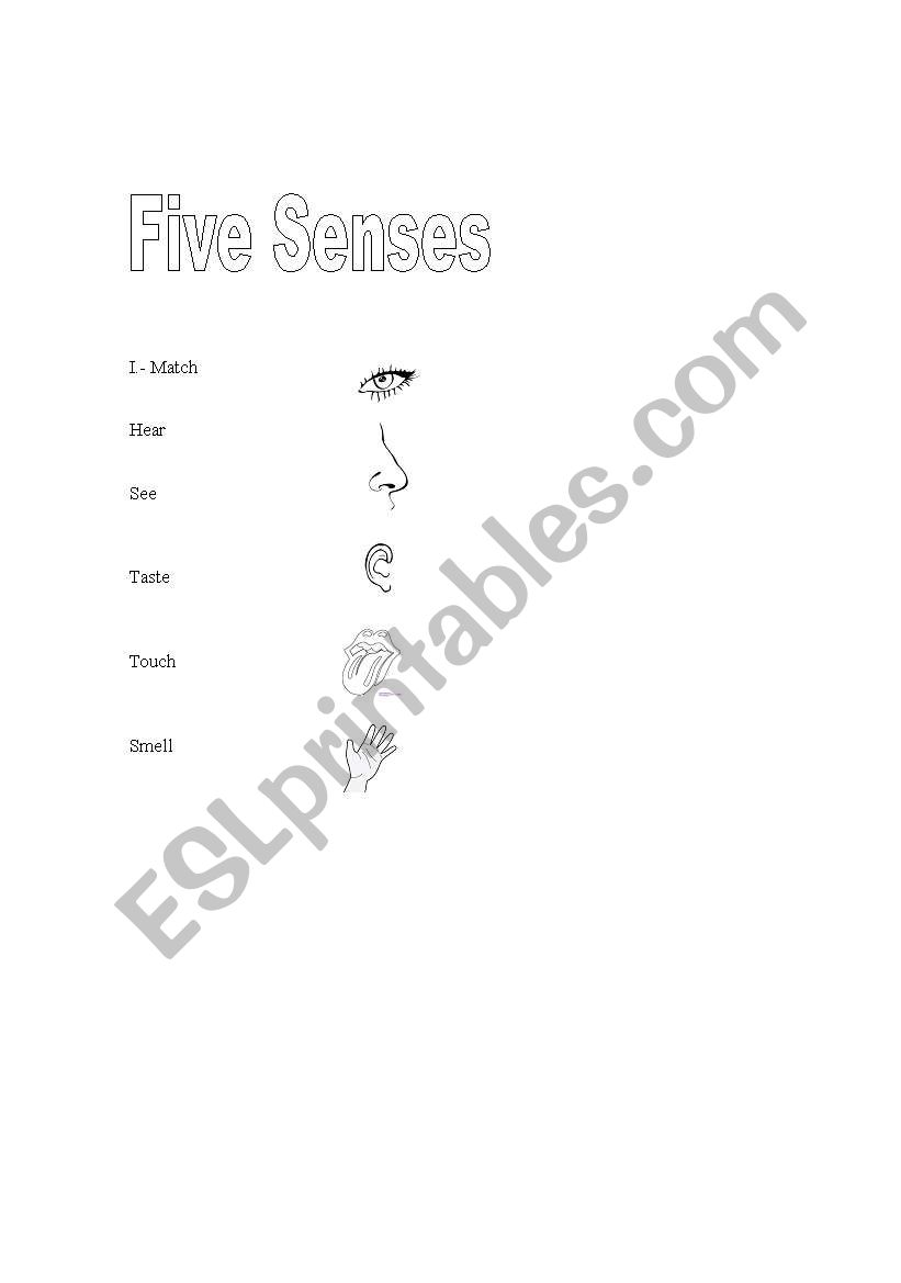 five senses worksheet