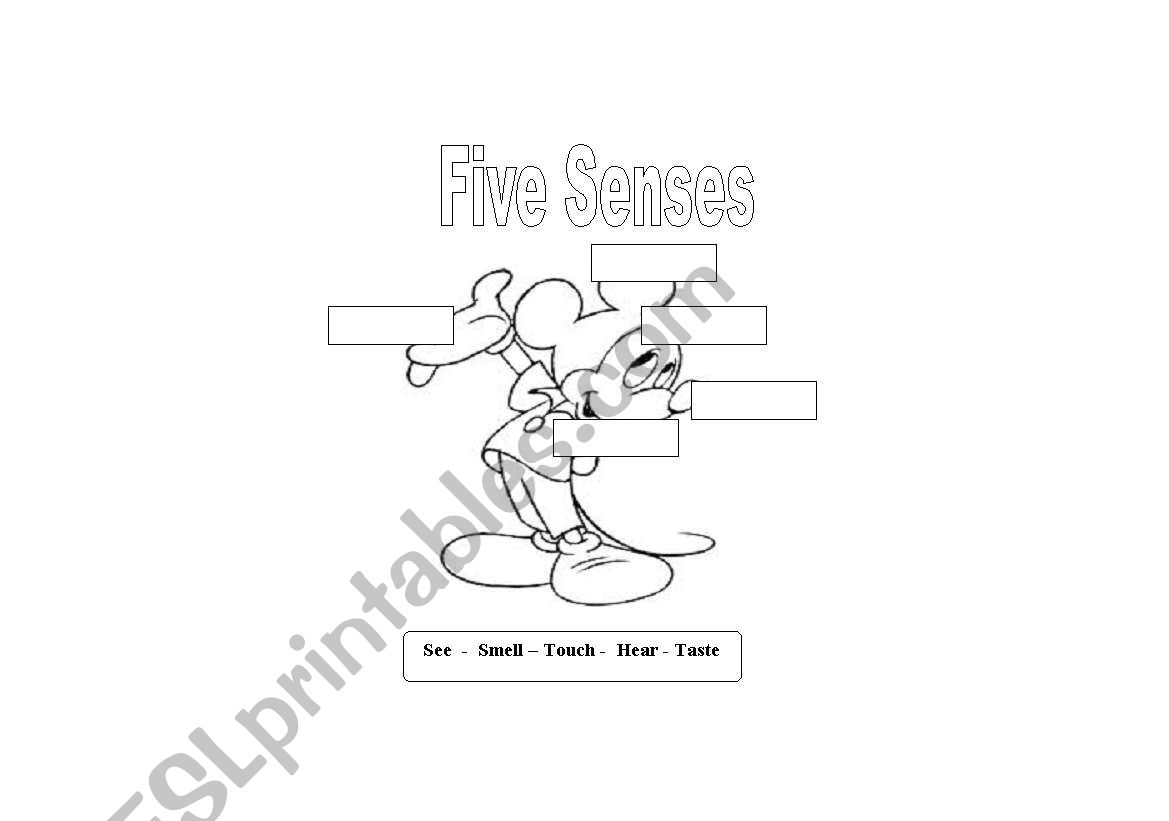 five sences worksheet
