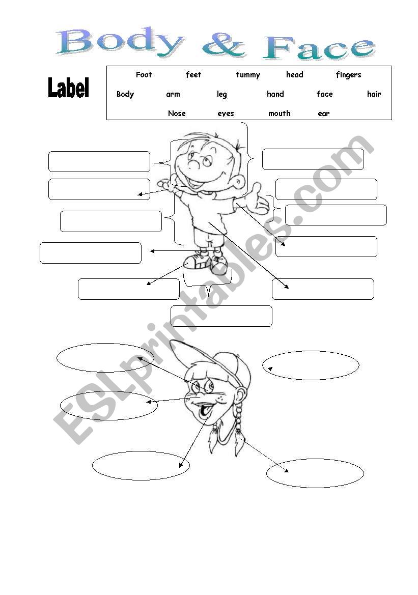 Body and Face Parts worksheet