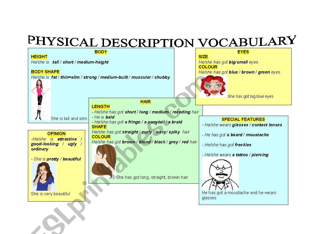 Physical Description Vocabulary