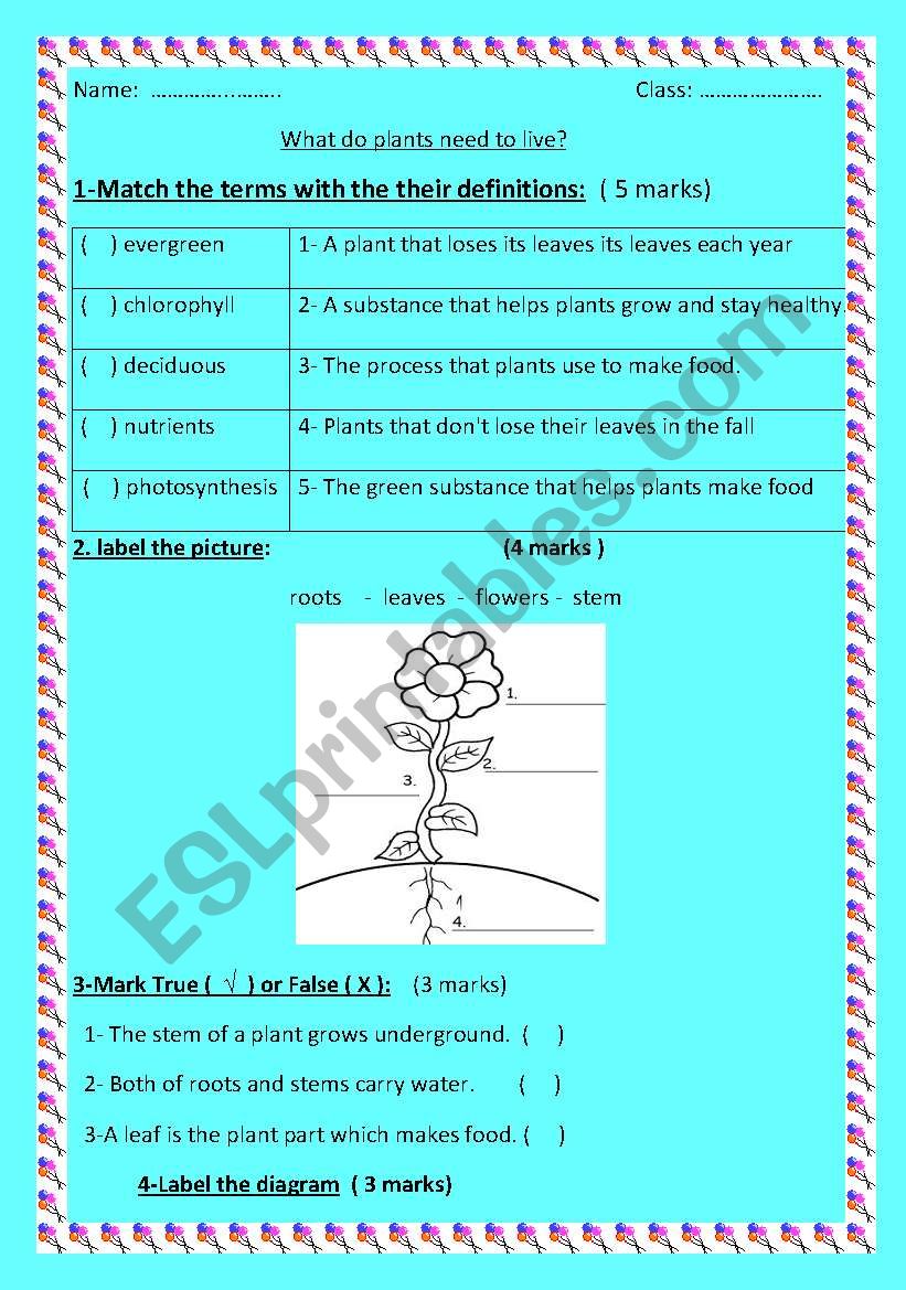 What do plants need to live? worksheet