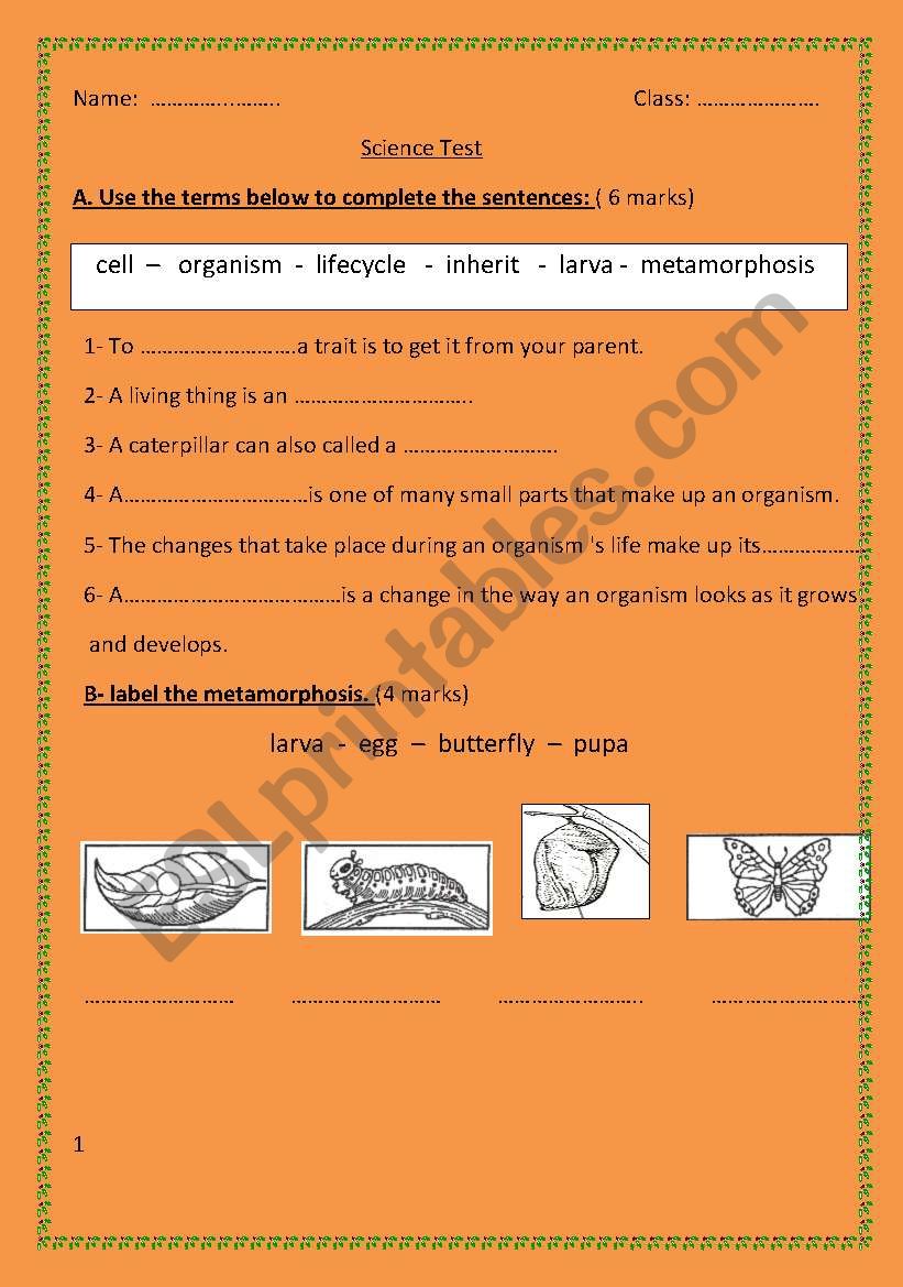 living things worksheet