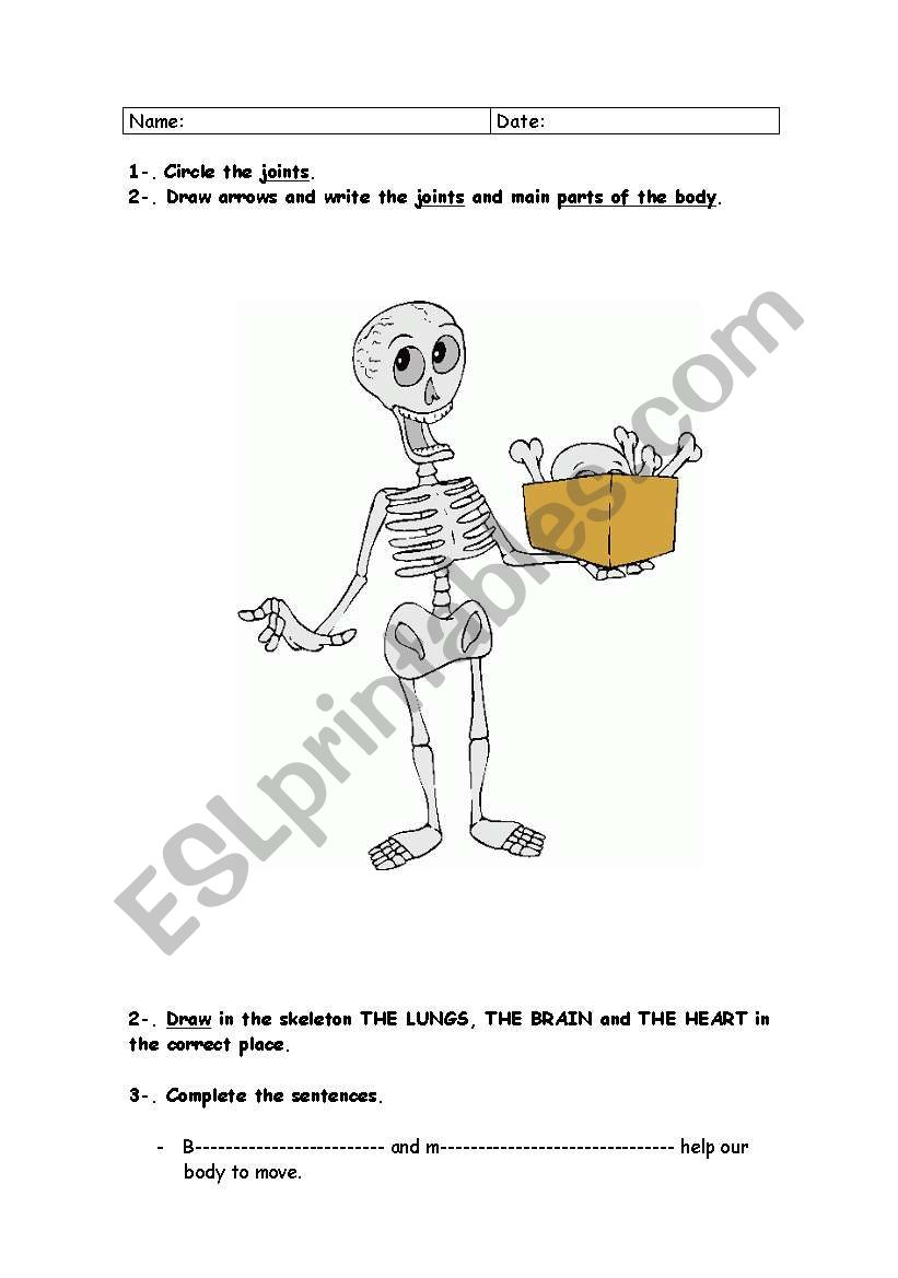 Easy Human Body worksheet