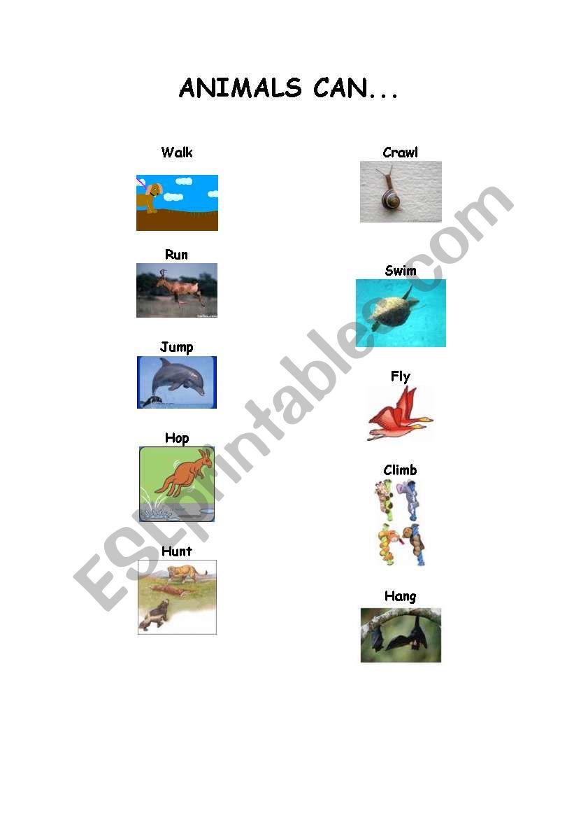 Animals abilities worksheet