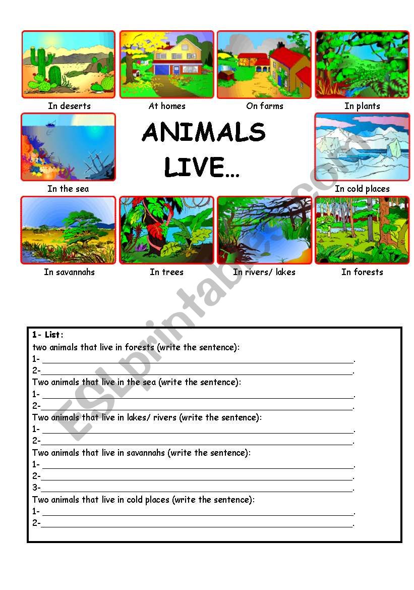 Animals live... worksheet