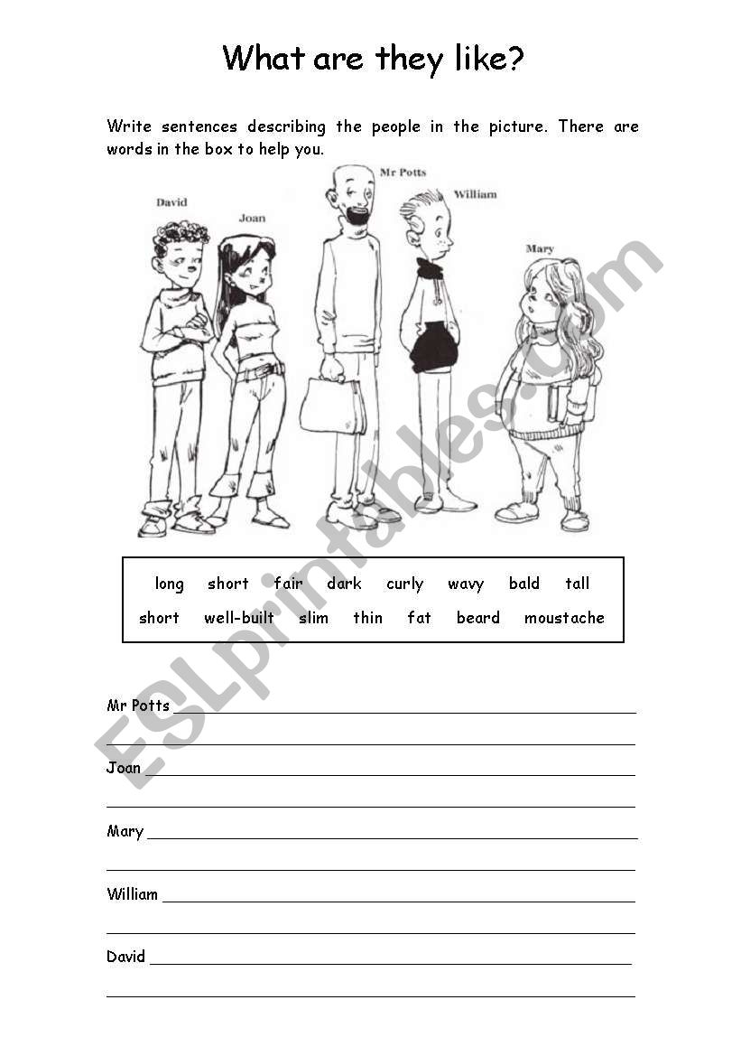 describing people worksheet