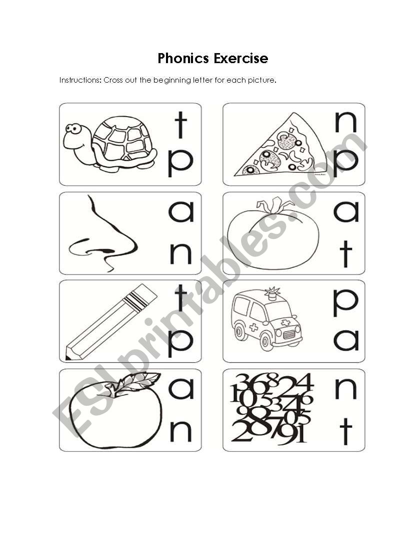 Phonics Exercise  worksheet