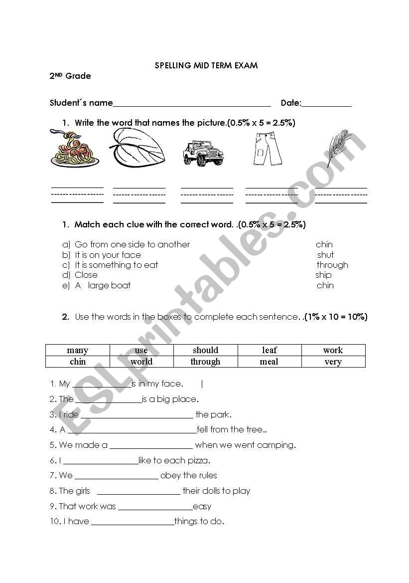 spelling worksheet worksheet