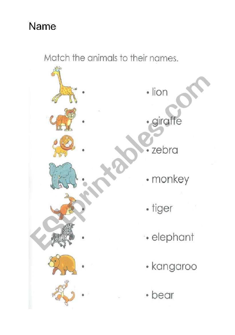 Animals worksheet