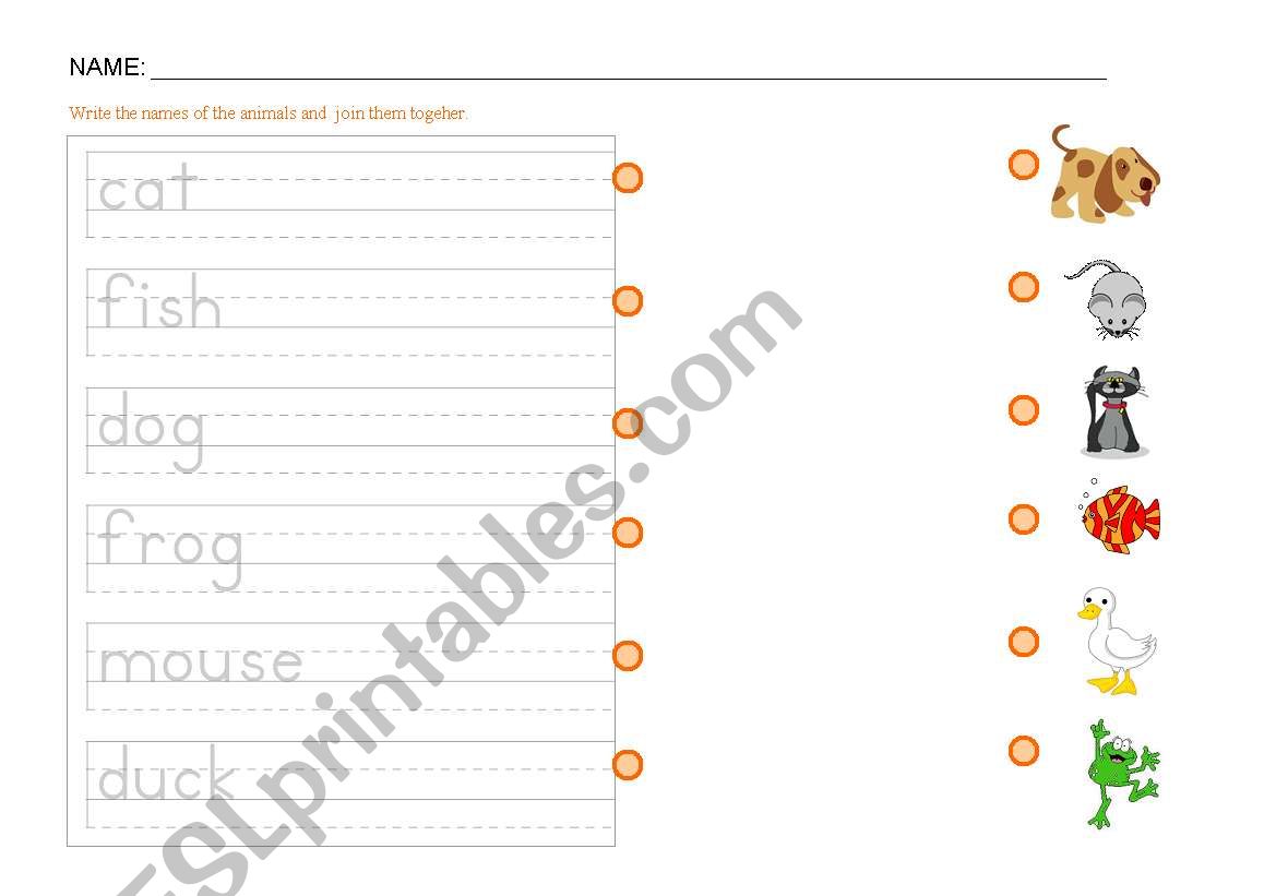 DOMESTIC ANIMALS worksheet